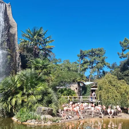 3 Bedroom Amazing In Holiday home